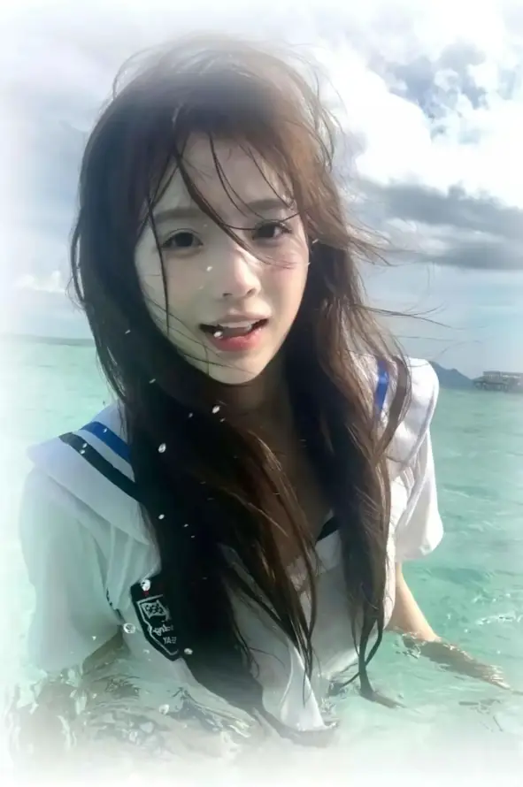 又爽又黄免费视频